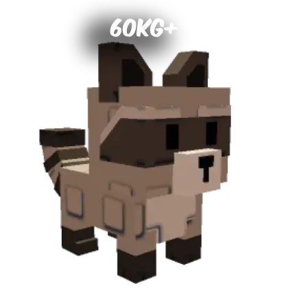 60kg+ Raccoon Bloxero